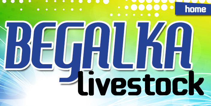 Begalka Livestock