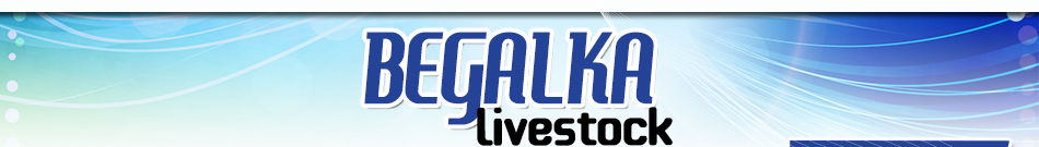 Begalka Livestock