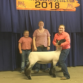Begalka Winners